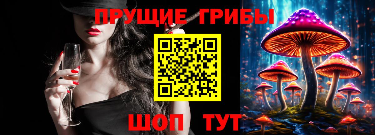 Галлюциногенные грибы Psilocybine cubensis Орехово-Зуево
